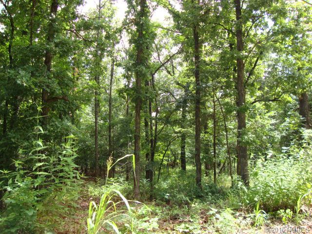 Tbd W 863 Road, Cookson, OK 74427