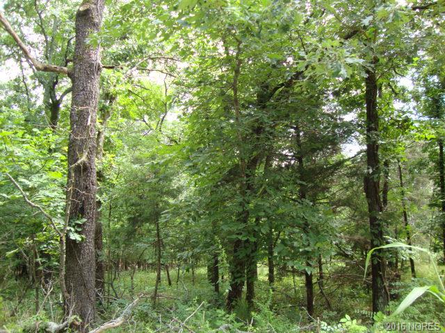 Tbd W 863 Road, Cookson, OK 74427