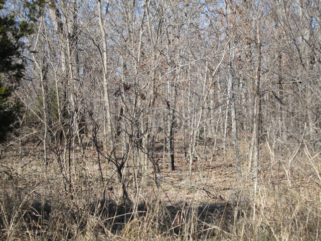 3780 W 821 Road, Fort Gibson, OK 74434