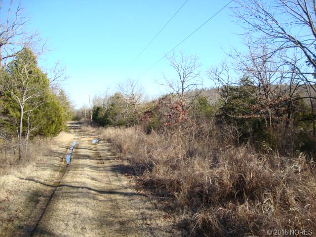 Stray Horn Landing Road, Gore, OK 74435