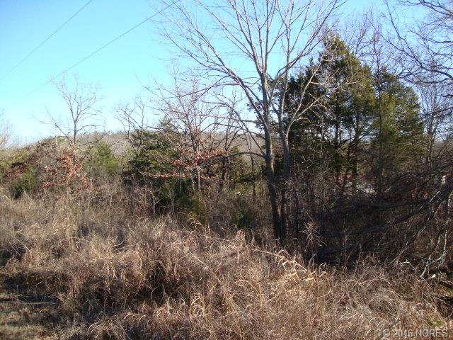 Stray Horn Landing Road, Gore, OK 74435