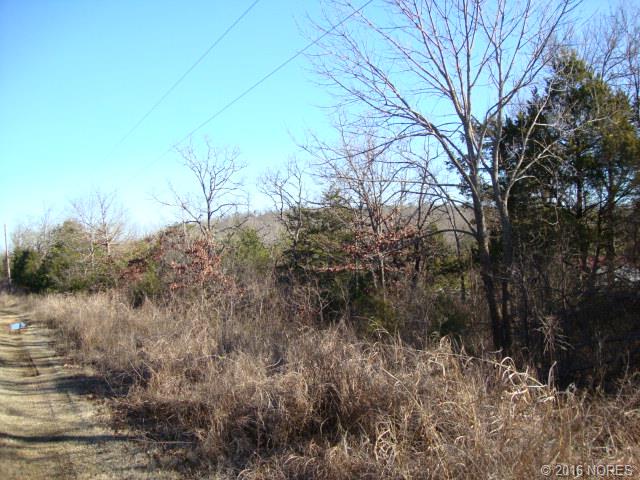 Stray Horn Landing Road, Gore, OK 74435