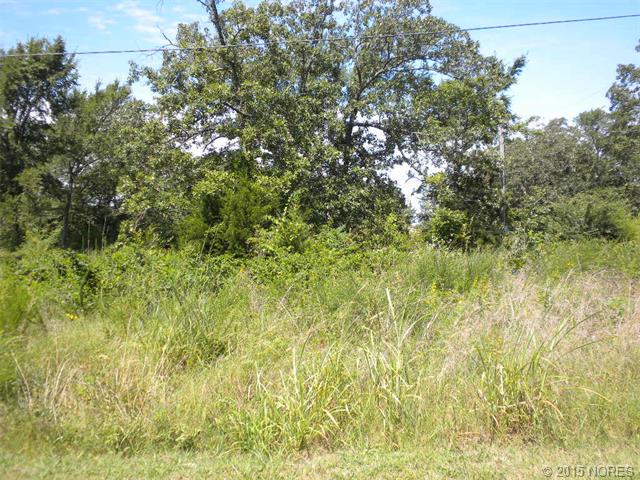 Vian, OK 74435