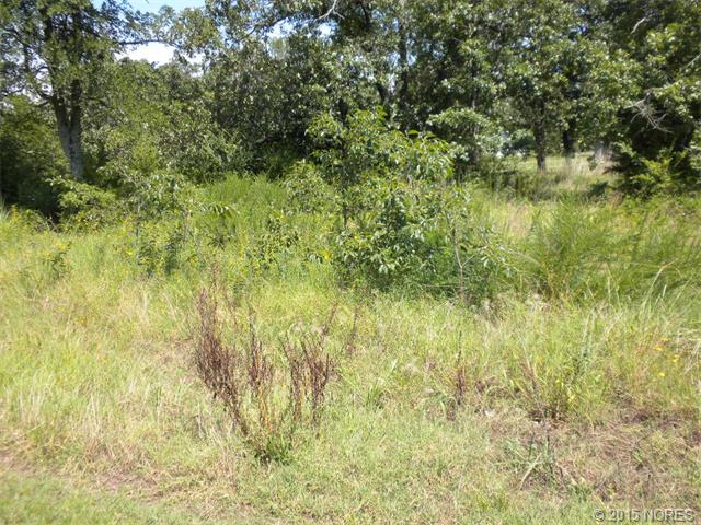 Vian, OK 74435