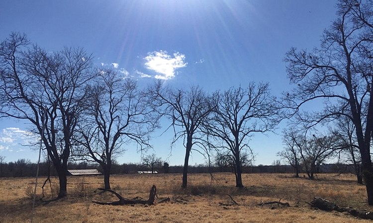 9718 N. 450 RD., Hulbert, OK 74441