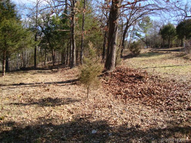 S Salt Cove Drive, Park Hill, OK 74451