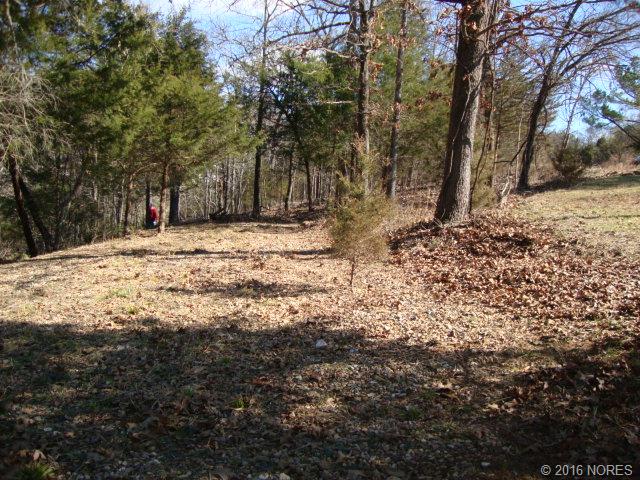 S Salt Cove Drive, Park Hill, OK 74451