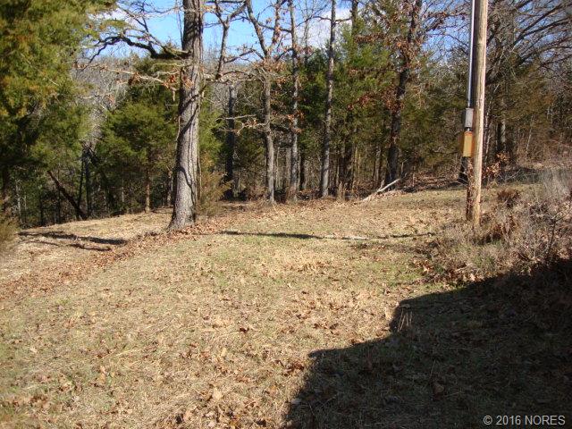 S Salt Cove Drive, Park Hill, OK 74451