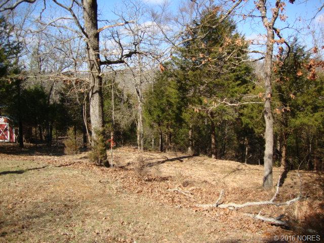 S Salt Cove Drive, Park Hill, OK 74451