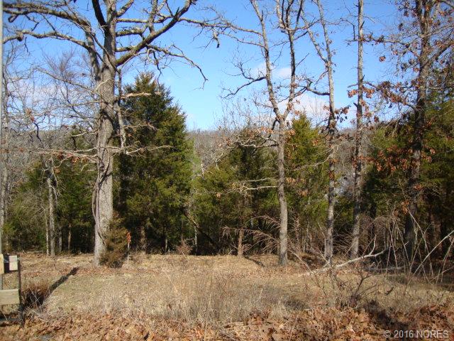 S Salt Cove Drive, Park Hill, OK 74451