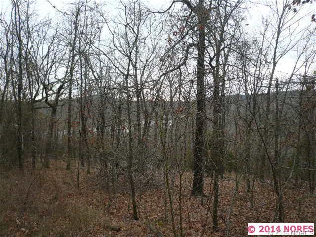 Sugar Mountain Circle, Park Hill, OK 74451