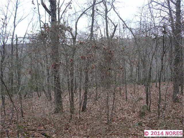 Sugar Mountain Circle, Park Hill, OK 74451