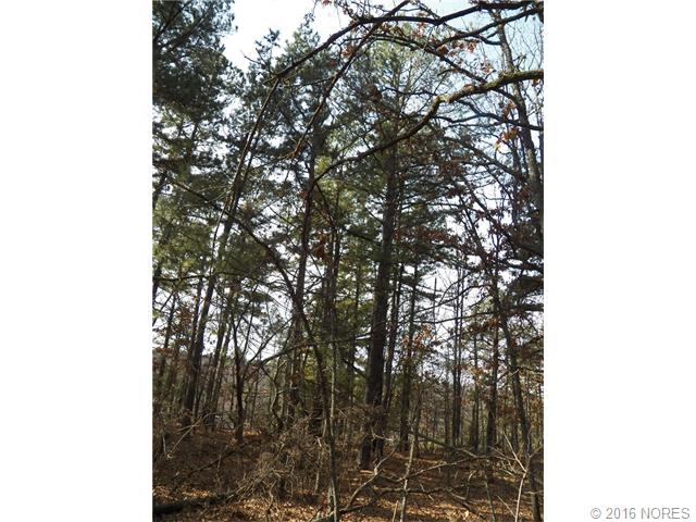 N 520 Road, Tahlequah, OK 74464