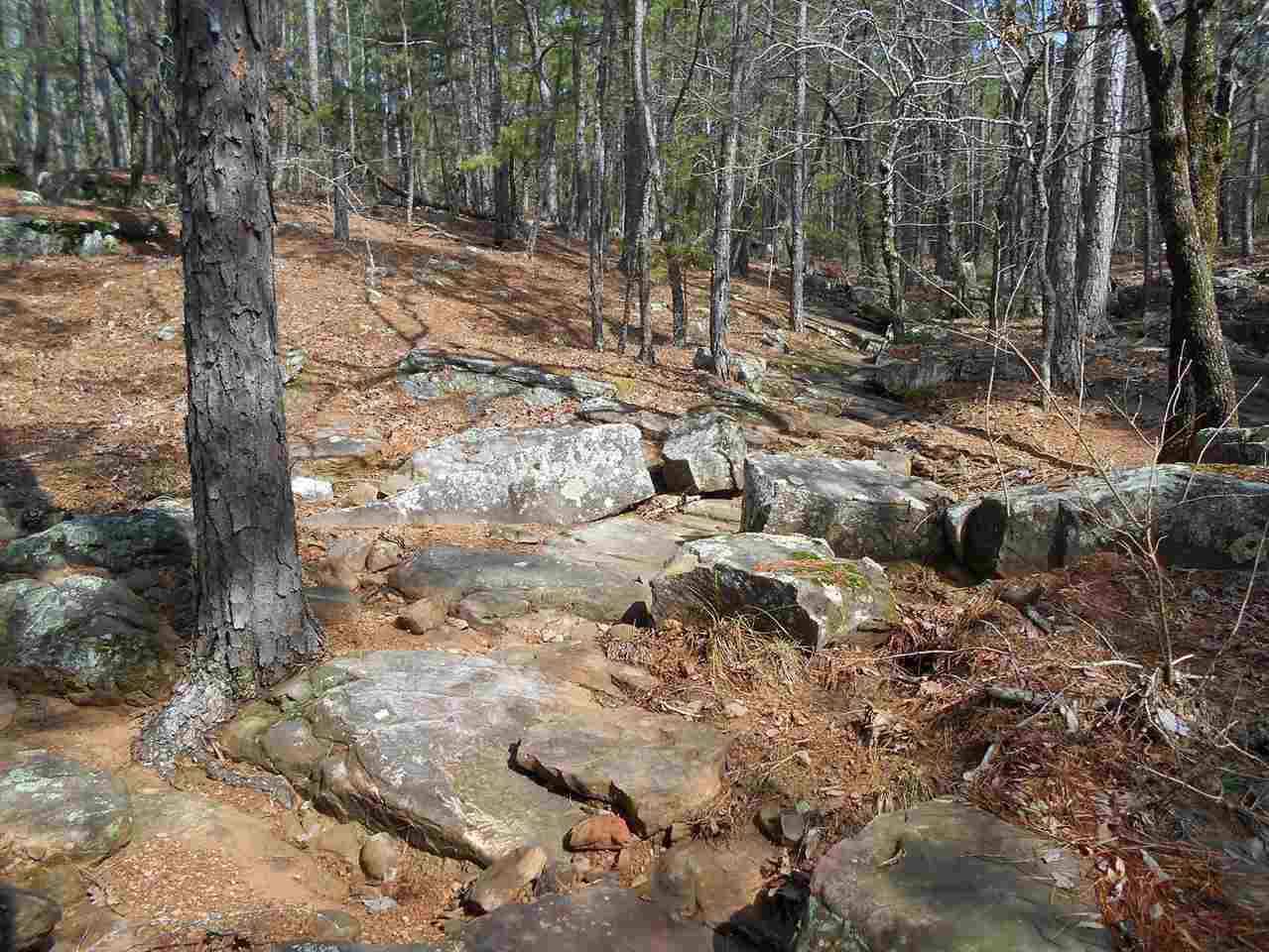hill side road N Kiamichi Wilderness, Moyers, OK 74557