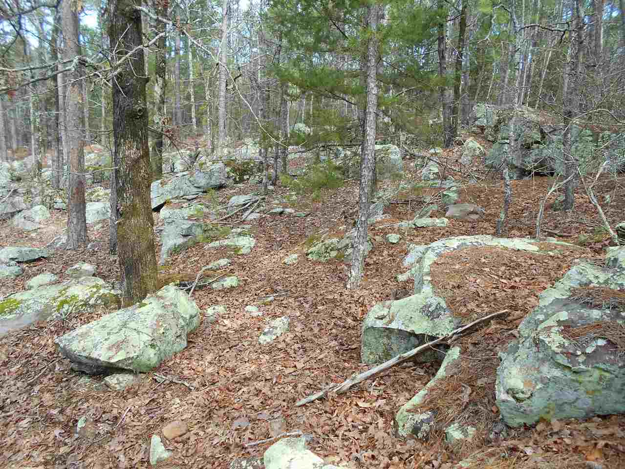 hill side road N Kiamichi Wilderness, Moyers, OK 74557
