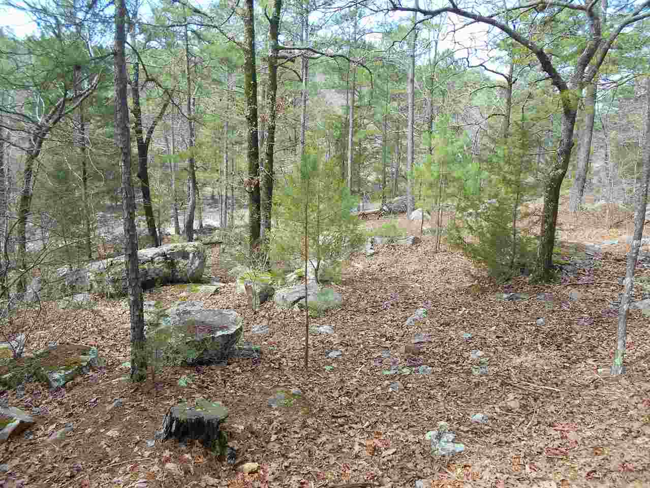 hill side road N Kiamichi Wilderness, Moyers, OK 74557
