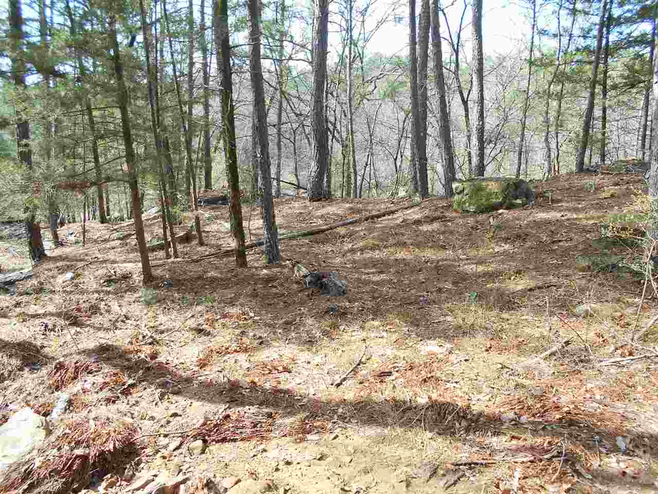 hill side road N Kiamichi Wilderness, Moyers, OK 74557