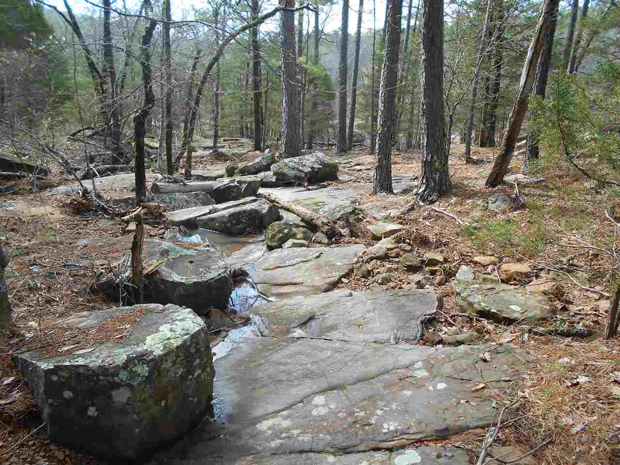 hill side road N Kiamichi Wilderness, Moyers, OK 74557