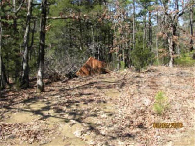 90 B Autum Trail, Moyers, OK 74557