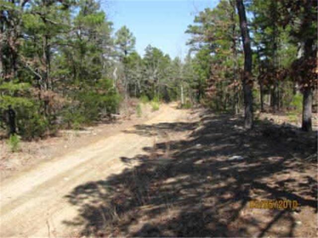 90 B Autum Trail, Moyers, OK 74557