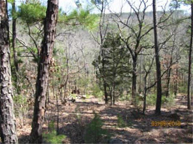 90 Ac Tram Trail, Moyers, OK 74557