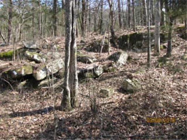 90 Ac Tram Trail, Moyers, OK 74557