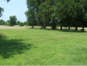 1004 Daniels Drive, Quinton, OK 74561