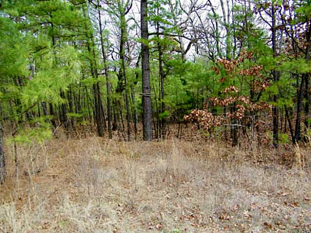 S CR 4450, Red Oak, OK 74563