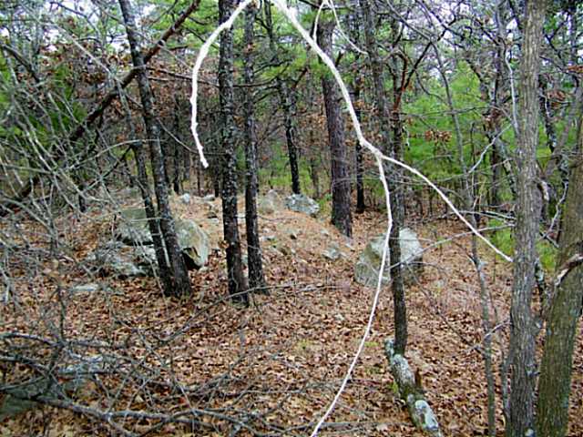 S CR 4450, Red Oak, OK 74563