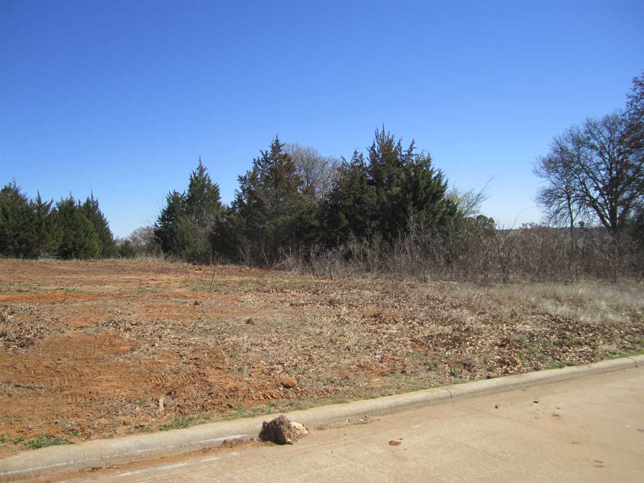 lot 29 S Lionel Lane, Durant, OK 74701
