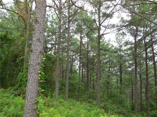 0000 Sec.13-T5S-R24E, Broken Bow, OK 74728