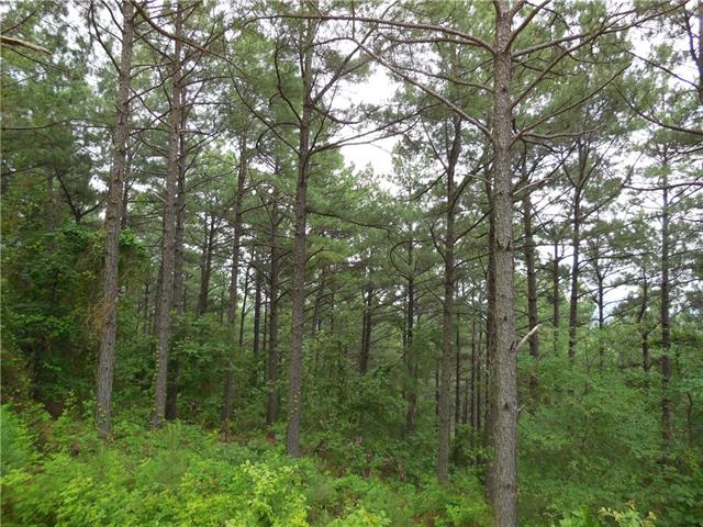 0000 Sec.13-T5S-R24E, Broken Bow, OK 74728