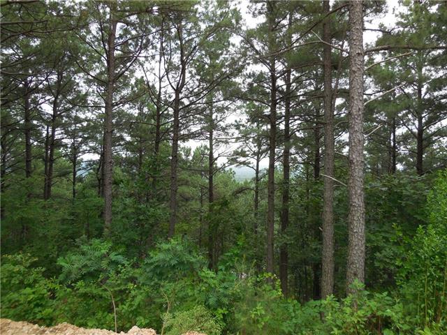 0000 Sec.13-T5S-R24E, Broken Bow, OK 74728