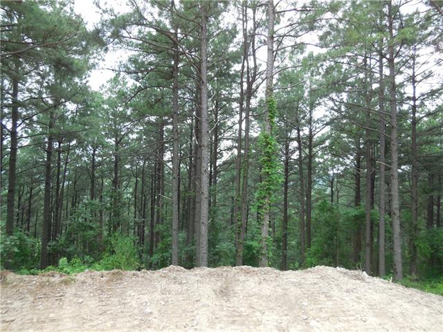 0000 Sec.13-T5S-R24E, Broken Bow, OK 74728