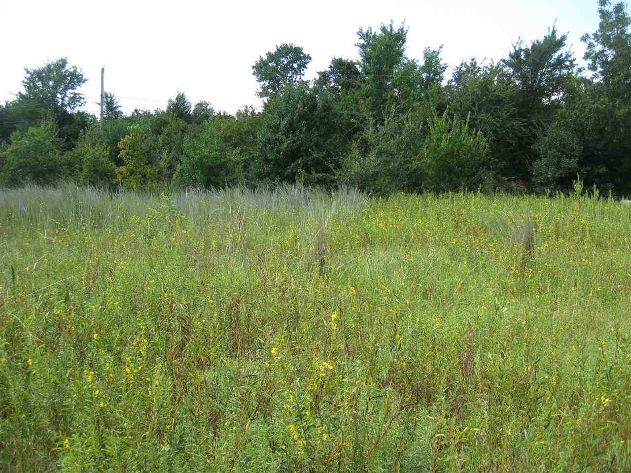 TBD Umsted St, Colbert, OK 74733
