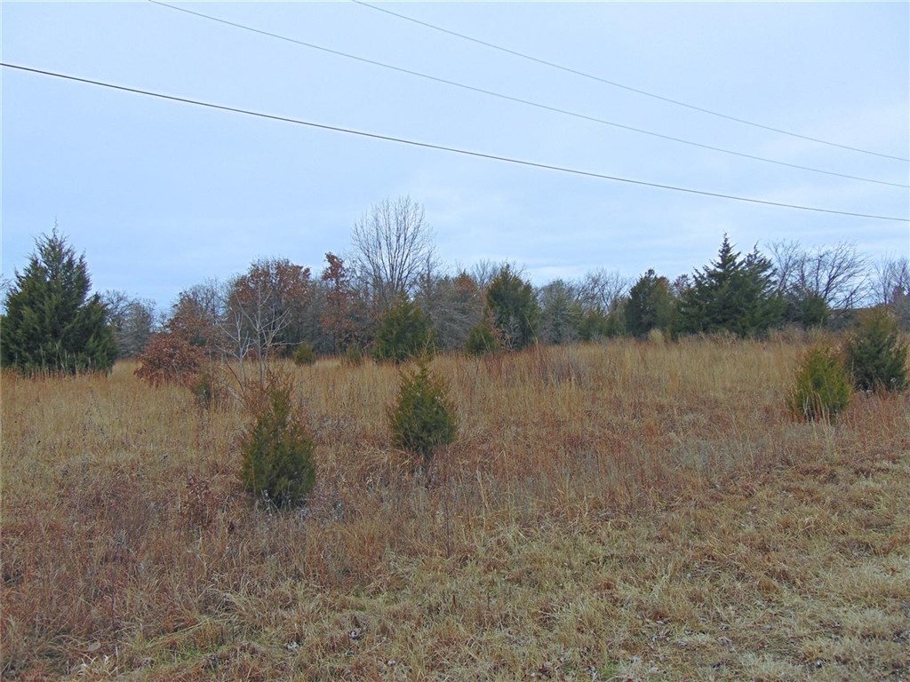 Aspen Drive, Shawnee, OK 74801