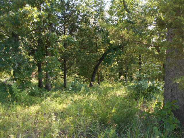 West OakHill Drive, Chandler, OK 74834