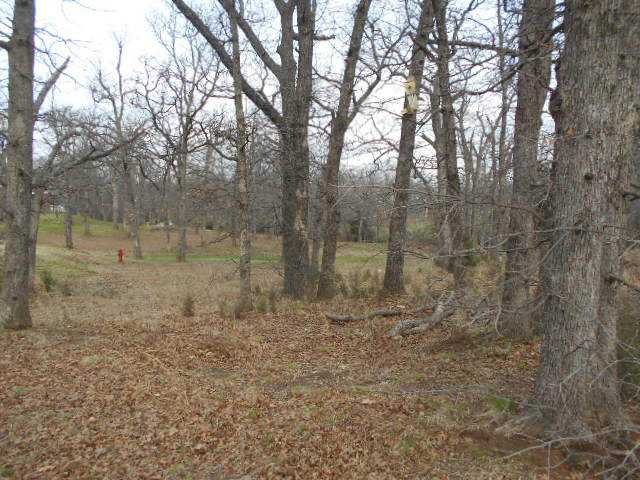 Daisy Court, Chandler, OK 74834