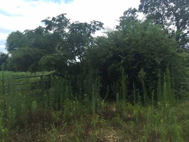 36472 E 137 Road, Sasakwa, OK 74848