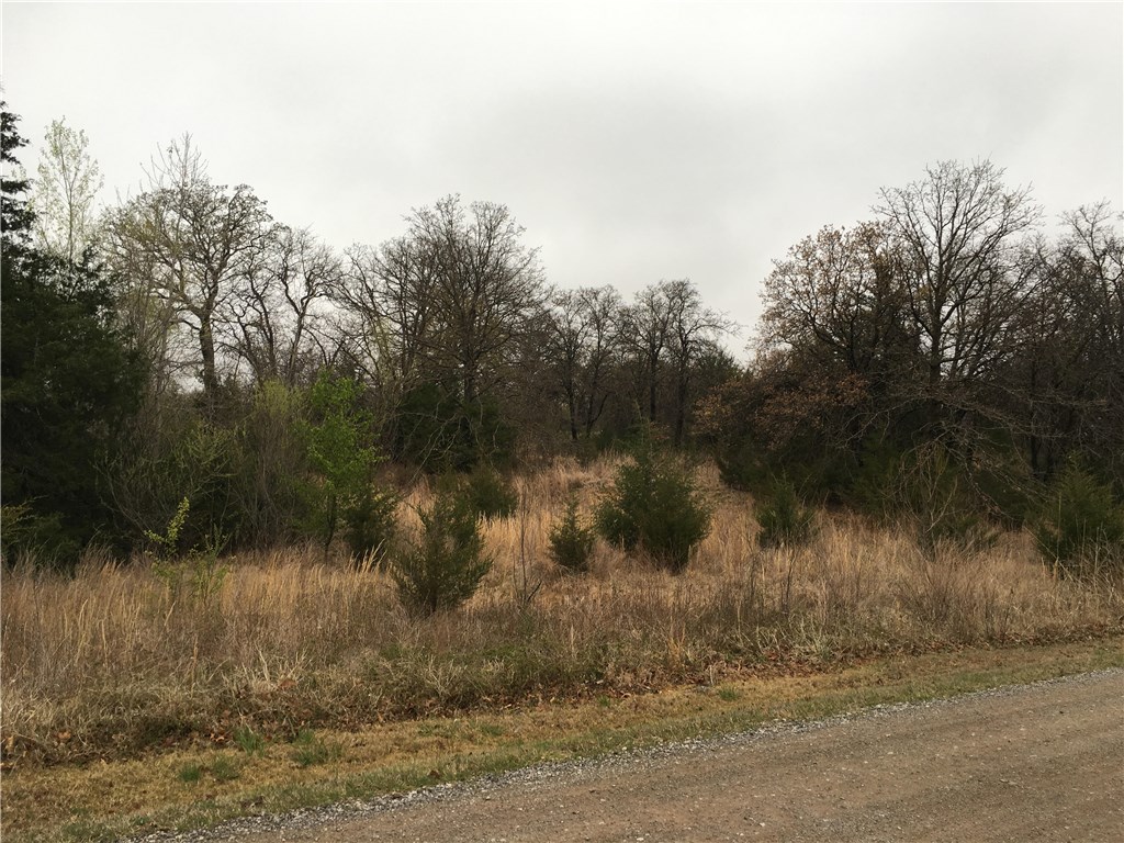 Timber Lake Drive, McLoud, OK 74851
