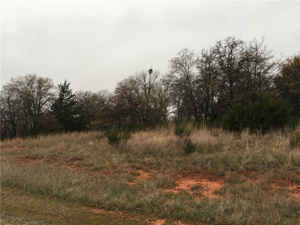 Timber Lake Drive, McLoud, OK 74851