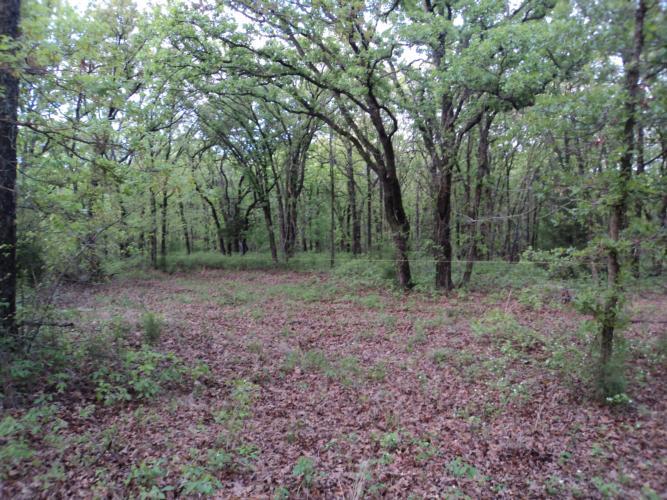 31191 Memorial Road, McLoud, OK 74851