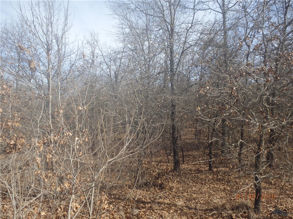 15300 Wythe Lane, Newalla, OK 74857
