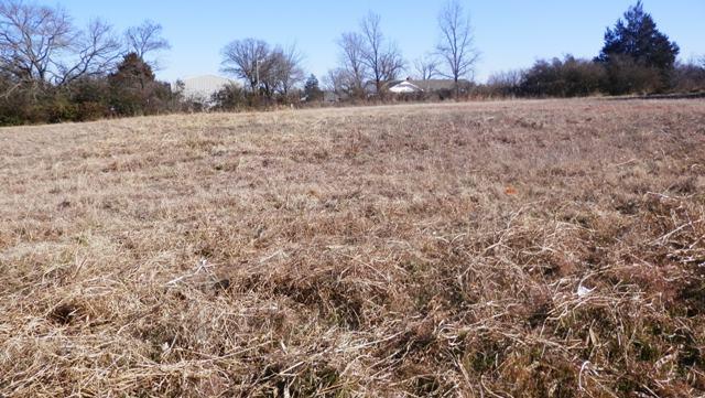 Vacant Lot on Princeton, Seminole, OK 74868