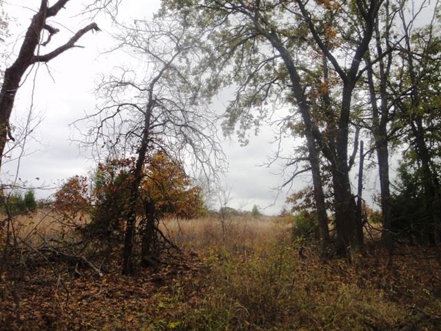 3620, Seminole, OK 74868