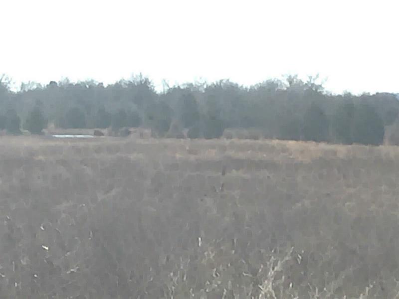 Pecan Ln, Rock Island, OK 74932