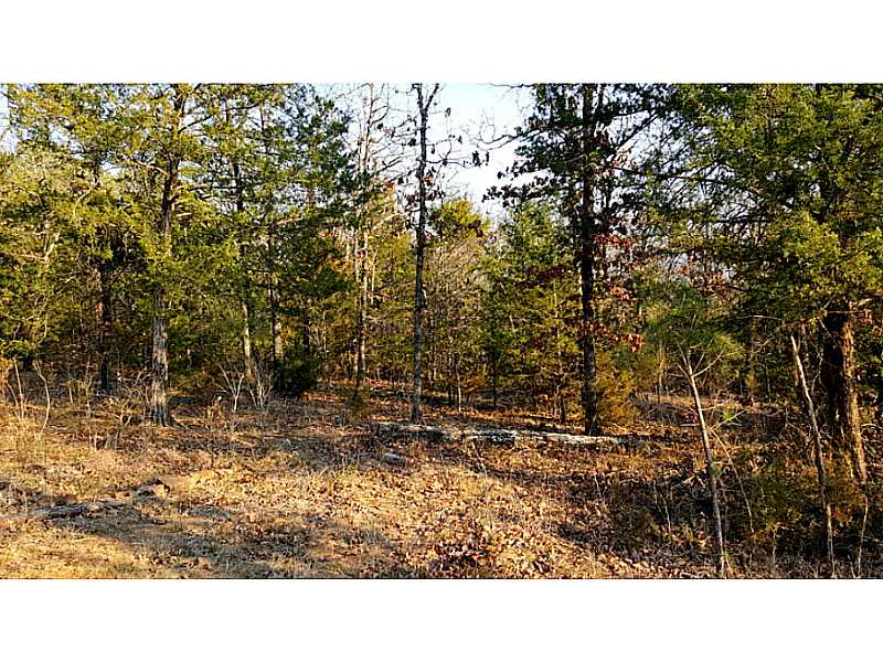 Welch Loop, Heavener, OK 74937