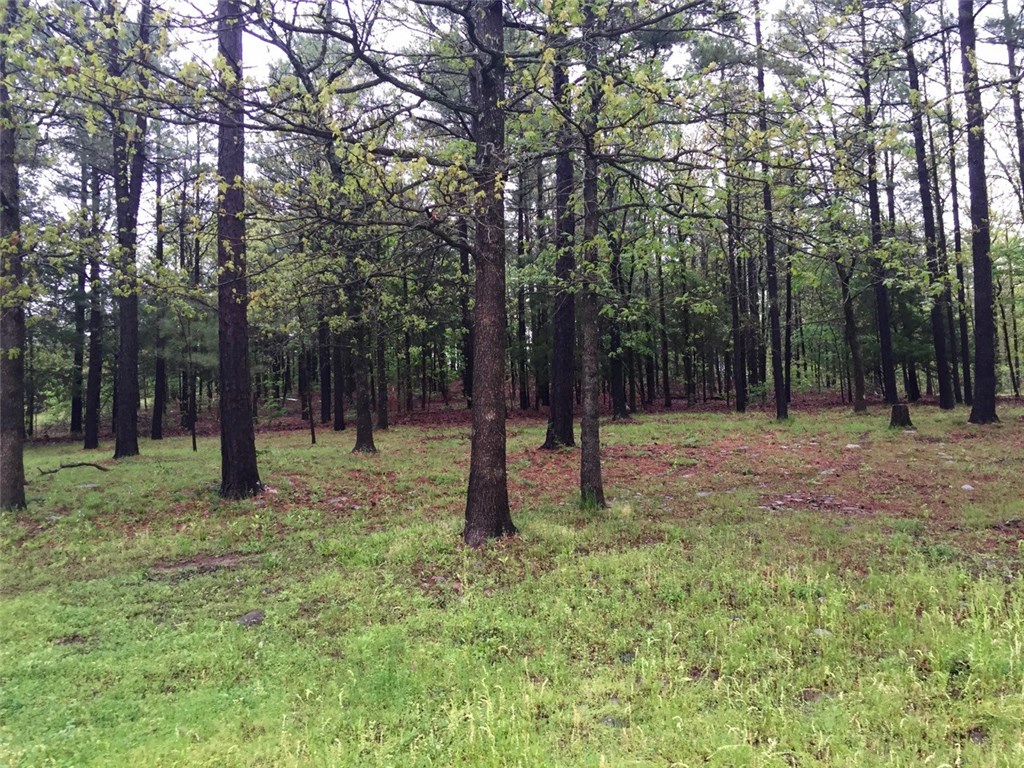 26454 HWY 63, Hodgen, OK 74939