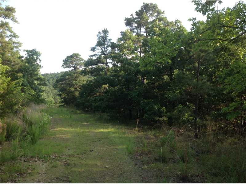 Pine Ridge Cir, Poteau, OK 74953