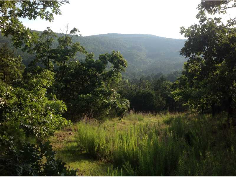 Pine Ridge Cir, Poteau, OK 74953